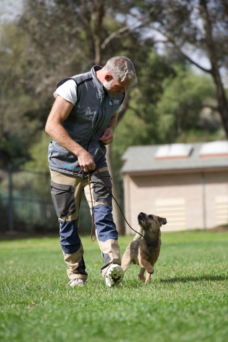 Lead trainer Chris at Evolve Canine Academy