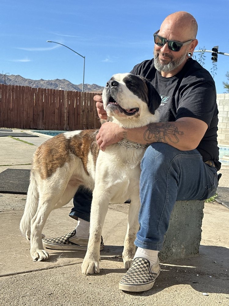 Client with their dog at Evolve Canine Academy