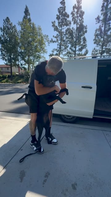 Training reel — posted May 19, 2025 — Evolve Canine Academy on Instagram