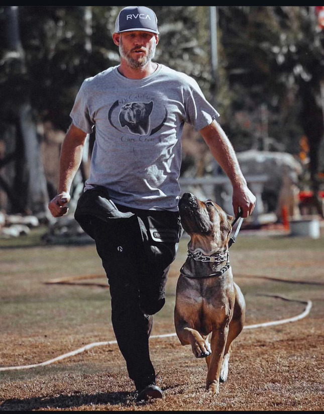 Chris training with a Cane Corso on the field